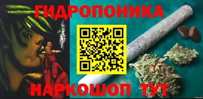 spice Владикавказ