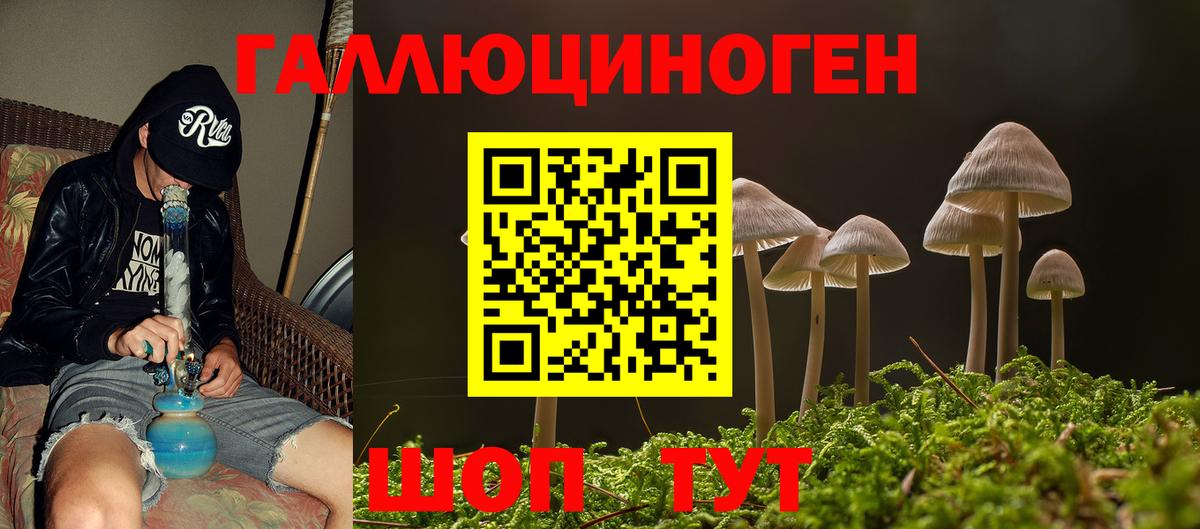 Боровичи  Псилоцибиновые грибы Psilocybine cubensis  Вход с VPN 