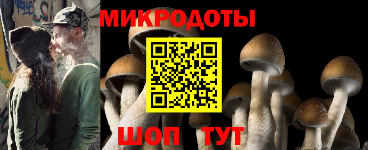 Галлюциногенные грибы Psilocybine cubensis Боровичи